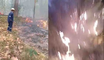 चर्को घाम र तातो हावासँगै आगलागीका घटना बढ्दै, पश्चिम नवलपरासीमा गएको एक महिनामा १८ वन क्षेत्रको ३९.७ हेक्टर क्षेत्रफलमा आगलागी 